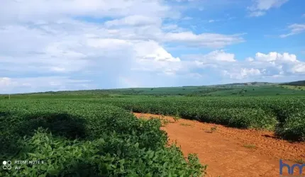 FAZENDA COM 180 ALQUEIRES PARA ACRIGULTURA EM DOVERLÂNDIA-GO