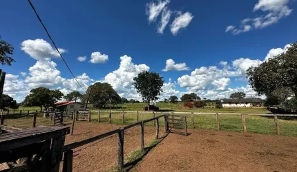 FAZENDA COM 200 ALQUEIRES DE DUPLA APTIDÃO EM SÃO MIGUEL DO ARAGUAIA-GO