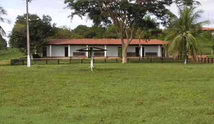 EXCELENTE FAZENDA DUPLA APTIDÃO COM 16.000 HECTARES EM FORTUNA E JATOBÁ - MA