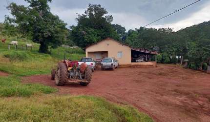 FAZENDA PARA PECUÁRIA COM 52 ALQUEIRES EM TROMBAS-GO