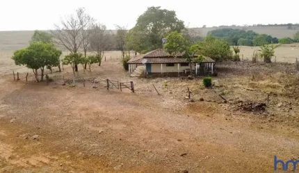 FAZENDA EXTRA COM 40 ALQUEIRES DUPLA APTIDÃO IPAMERI-GO