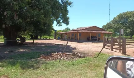 FAZENDA COM 260 ALQUEIRES DUPLA APTIDÃO EM UIRAPURU-GO