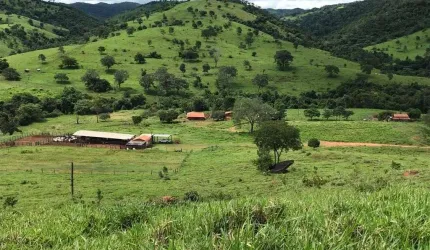 ÓTIMA FAZENDA PARA PECUÁRIA COM 420 ALQUEIRES E SÃO LUIZ DO NORTE-GO