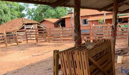 FAZENDA PARA PECUÁRIA COM 253 ALQUEIRES EM CAMPINAÇU - GO