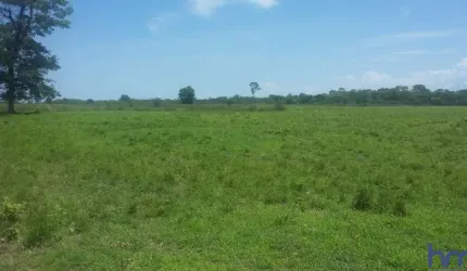 FAZENDA DUPLA APTIDÃO COM 2.416 ALQUEIRES EM FLORES DE GOIÁS - GO