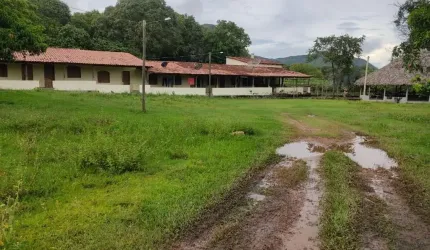 FAZENDA COM 560 ALQUEIRES DE DUPLAS APTIDÃO EM MONTE ALEGRE DE GOIÁS-GO