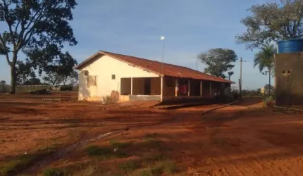 FAZENDA COM 228 ALQUEIRES DUPLA APTIDÃO NO MUNICÍPIO DE LAGOA SANTA - GO