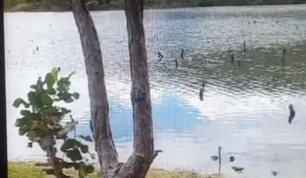FAZENDA COM 54 ALQUEIRES BRUTA PARA PECUÁRIA EM MINAÇU-GO