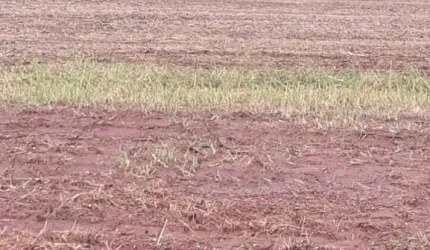 EXCELENTE FAZENDA DE DUPLA APTIDÃO COM 450 ALQUEIRES EM MONTIVIDIU-GO