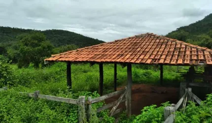 FAZENDA DE DUPLA APTIDÃO COM 71 ALQUEIRES EM MINAÇU-GO