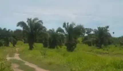 FAZENDA COM 355 ALQUEIRES DE DUPLA APTIDÃO NO VALE DO ARAGUAIA EM GOIÁS