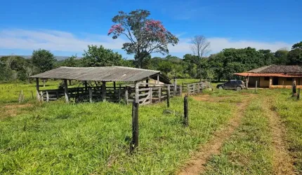 FAZENDA DE DUPLA APTIDÃO COM 25 ALQUEIRES EM BRAZLÂNDIA-DF
