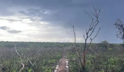 FAZENDA DE DUPLA APTIDÃO COM 4.500 ALQUEIRES EM SÃO JOSÉ DO PEIXE-PI