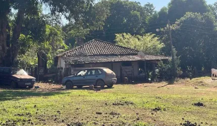 FAZENDA COM 140 ALQUEIRES DE DUPLA APTIDÃO EM FAINA-GO
