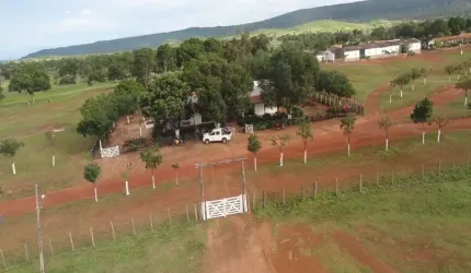 MEGA FAZENDA COM 176.000 HECTARES DUPLA APTIDÃO NO MUNICÍPIO DE AROAZES - PI