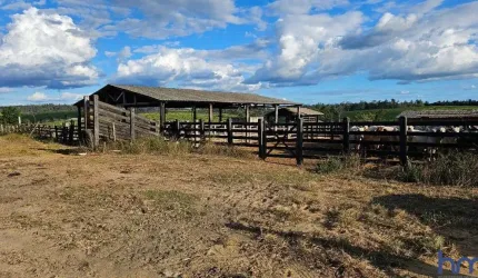 FAZENDA COM 200 ALQUEIRES DE DUPLA APTIDÃO EM ITINGA DO MARANHÃO-MA