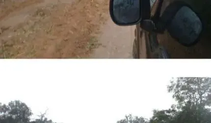 FAZENDA BRUTA COM 37 ALQUEIRES DE DUPLA APTIDÃO EM CAXIAS-MA