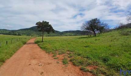 FAZENDA COM 153 ALQUEIRES PARA PECUÁRIA EM TROMBAS-GO