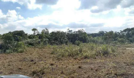 Área para Venda em Itanhaém, Chácaras Lucel