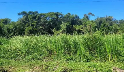 Terreno para Venda em Peruíbe, Estância Bambu