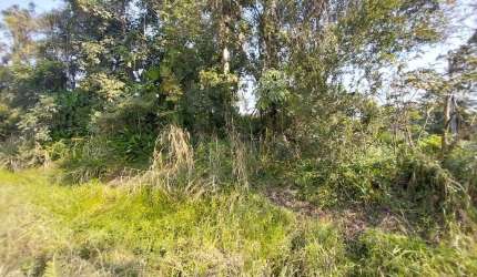 Terreno para Venda em Itanhaém, Chacara Lucel