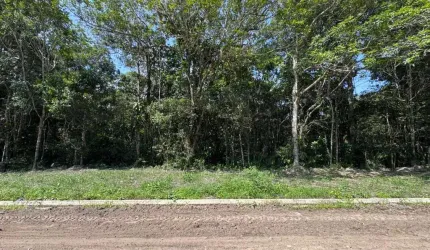Terreno para Venda em Itanhaém, Verde Mar