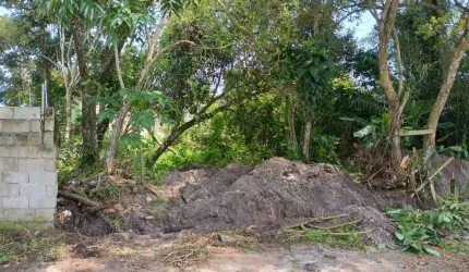 Terreno para Venda em Itanhaém, Jardim das Palmeiras