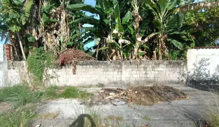 Terreno para Venda em Itanhaém, Jardim das Palmeiras
