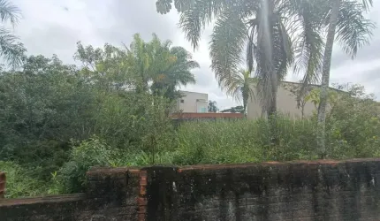 Terreno para Venda em Itanhaém, Jardim das Palmeiras