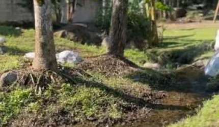 Chácara para Venda em Itariri, Igrejinha, 3 dormitórios, 2 banheiros, 6 vagas