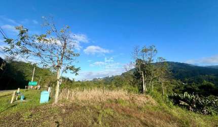 AMPLO TERRENO RESIDENCIAL À VENDA EM PICADA CAFÉ, Lichtenthal, Picada Cafe - RS