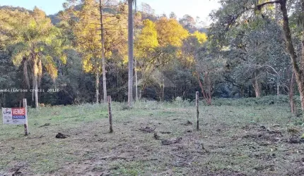 Área Rural para Venda em Campo Largo, Bateias