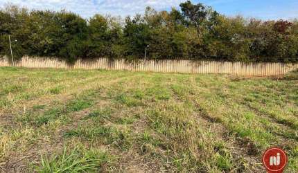 Terreno à venda, 1000 m² por R$ 300.000,00 - Bela Vista - Mário Campos/MG