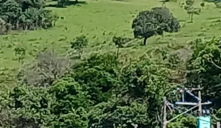 Oportunidade de ótimo negocio