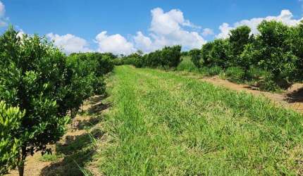 Fazenda / Sítios / Chácaras com 3 quartos à venda em Três Corações