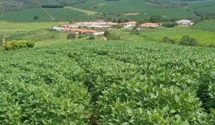 Fazenda / Sítios / Chácaras com 6 quartos à venda em Carmo De Minas