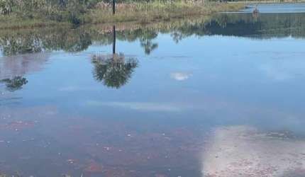 Fazenda / Sítios / Chácaras à venda em Paraopeba