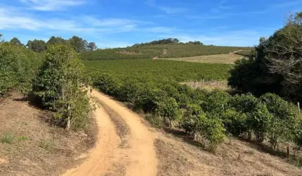 Fazenda / Sítios / Chácaras à venda em Varginha