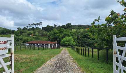 LINDA PROPRIEDADE  EM GLÓRIA DO GOITA