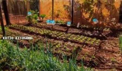 Chácara para Venda em Jardinópolis, Campos Elíseos, 2 dormitórios, 2 suítes, 1 banheiro