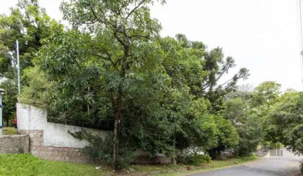 Terreno, 363.78 m², em Vila Conceição, em região elevada e livre de inundações