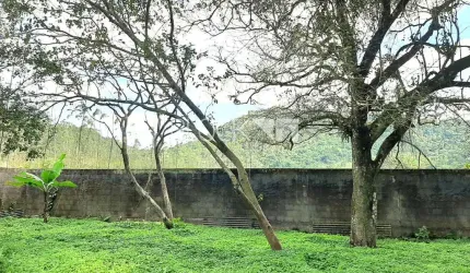 Campinho (Suruí) | Terreno