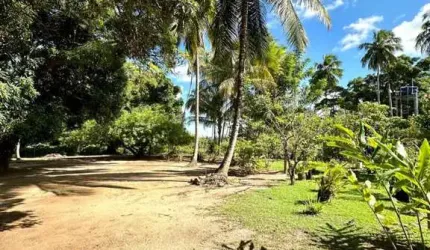 Sítio / Chácara para Venda em Camaçari, Monte Gordo (Monte Gordo), 10 vagas