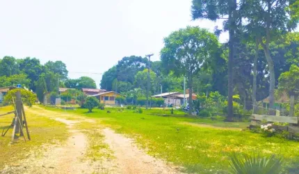 Chácara / sítio com 3 quartos à venda na Mato Grosso, 826, Mineiros, Balsa Nova por R$ 750.000