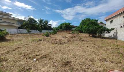 LOTE -BUSCA VIDA