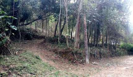 Terreno para Venda em Nova Friburgo, PARQUE SÃO CLEMENTE