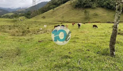 CHACARÁ 3000M² EM LIDICE- RIO CLARO, Lídice, Rio Claro - RJ