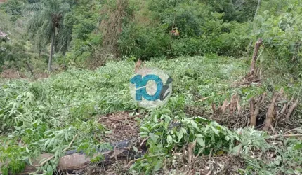 TERRENO 1.800 M² FAZENDA DA GRAMA , Passa Três, Rio Claro - RJ