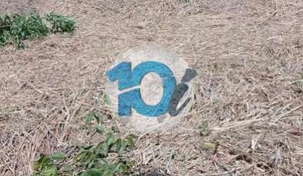 LOTE DE 304,50M² NO LOTEAMENTO PARQUE DOS IPÊS, Vila Ursulino, Barra Mansa - RJ