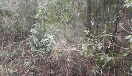 Terreno à venda em Suasalito - SP